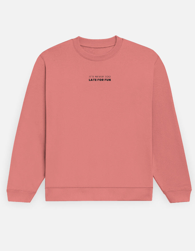 Pink sweatshirt with text on a white background